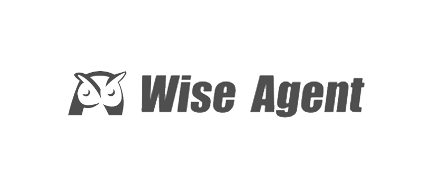 Wise Agent